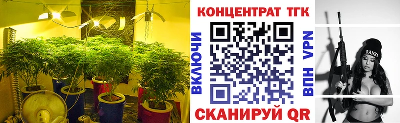 купить   Озёры  ТГК концентрат 