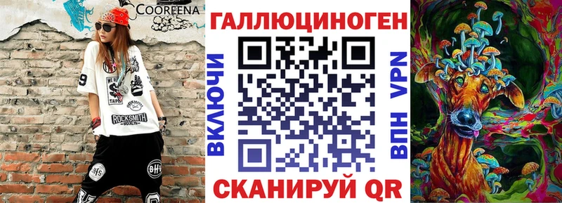 Псилоцибиновые грибы Psilocybe  что такое   Озёры 