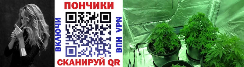 где найти наркотики Озёры Конопля марихуана